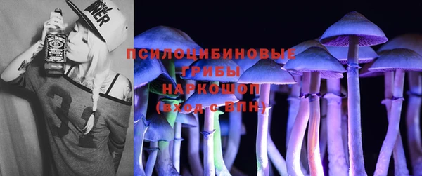 дурь Сатка