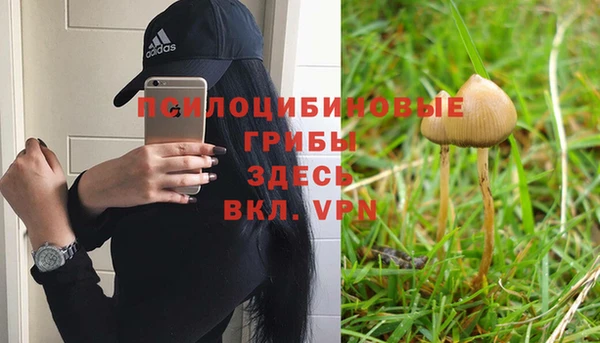 ALPHA-PVP Алексин