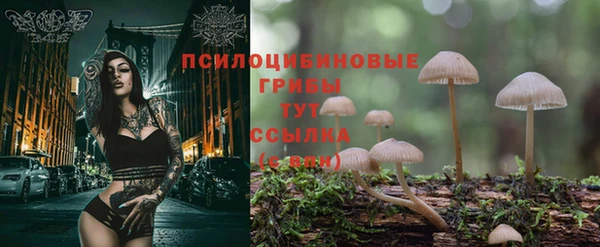 дурь Сатка