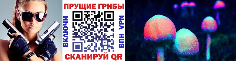 Псилоцибиновые грибы прущие грибы  Пущино 