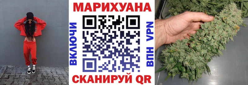 цена наркотик  Пущино  Бошки марихуана сатива 